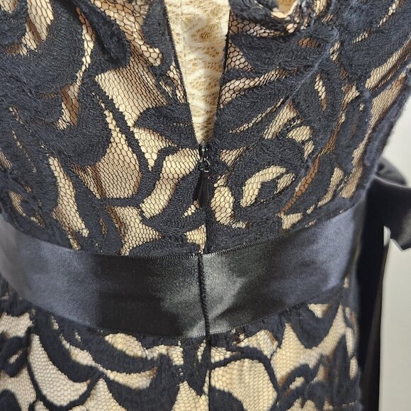 Tahari Arthur S Lavine Women's Size 8 Black Lace Sleeveless V-Neck Zip Dress - Picture 9 of 15